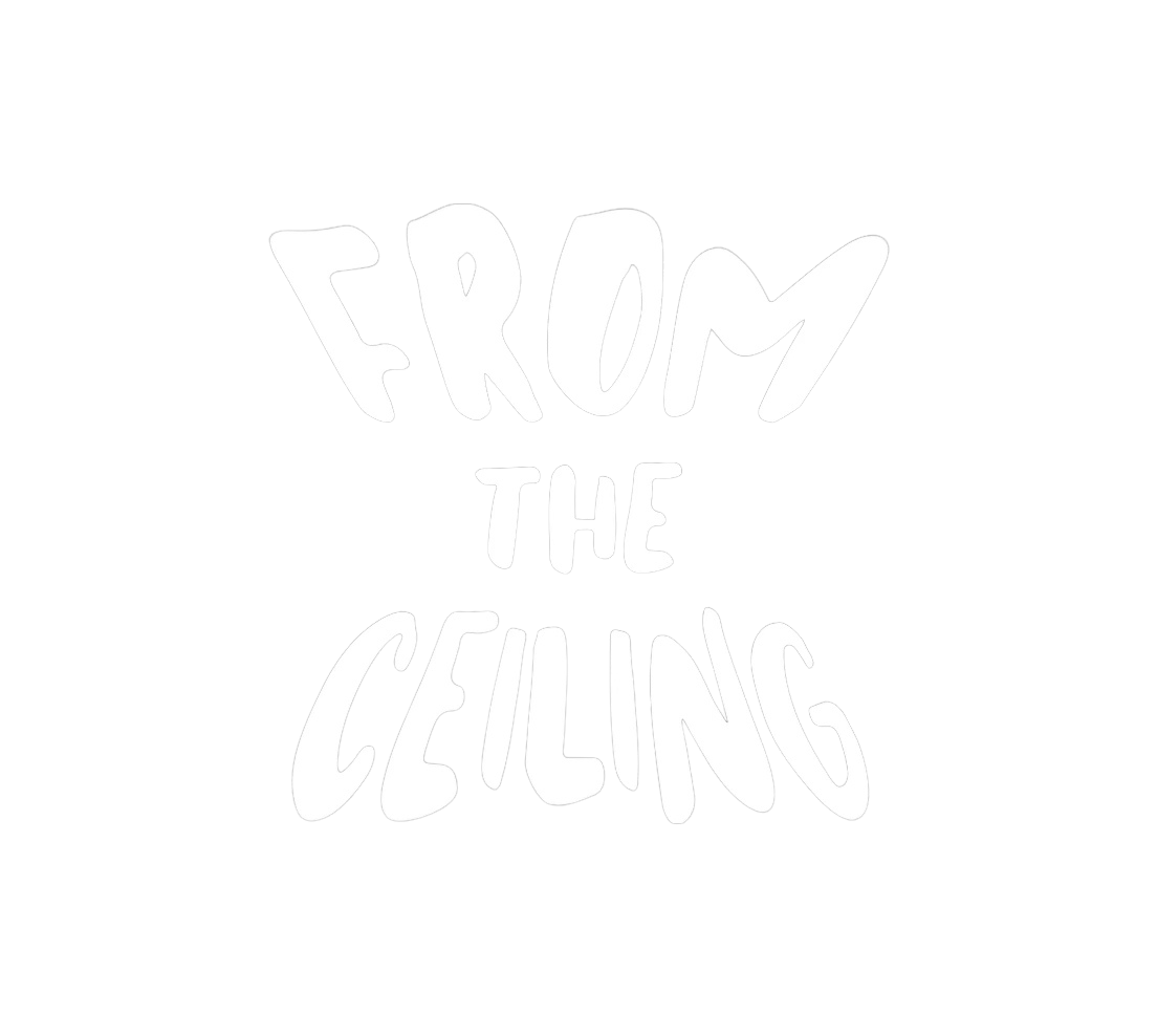 From The Ceiling Logo